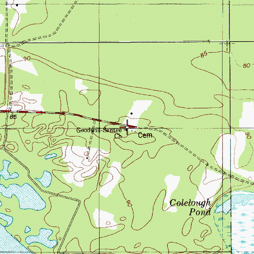 Topographic Map of Goodwill-Santee Church, SC