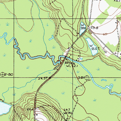 Topographic Map of Great Branch, SC