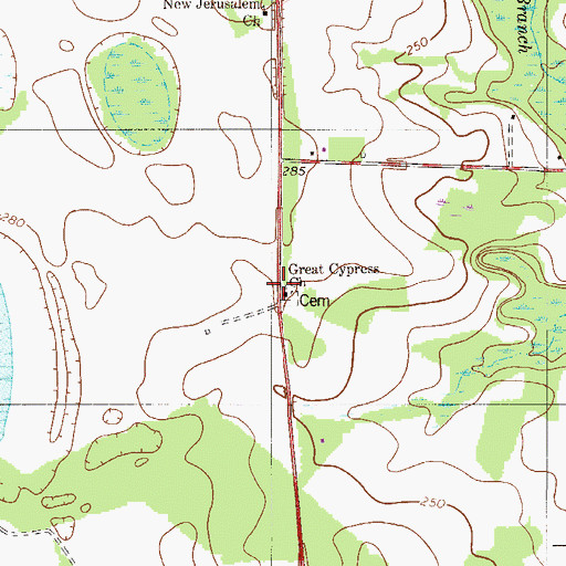 Topographic Map of Great Cypress Baptist Church, SC