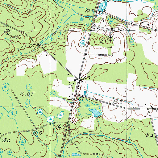 Topographic Map of Great Swamp Church, SC