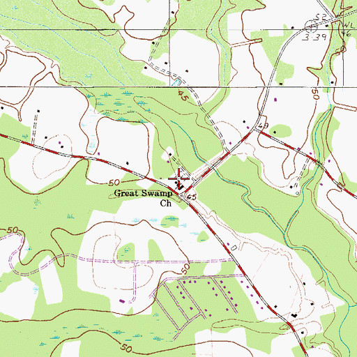 Topographic Map of Great Swamp Church, SC