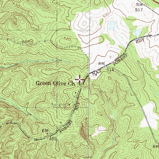 Topographic Map of Green Olive Church, SC