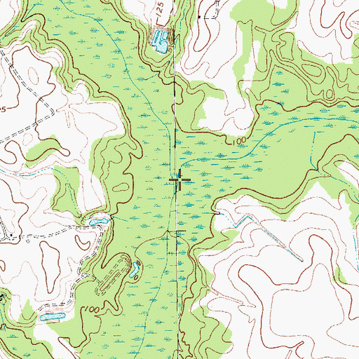 Topographic Map of Hagins Prong, SC