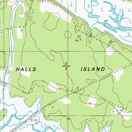 Topographic Map of Halls Island, SC