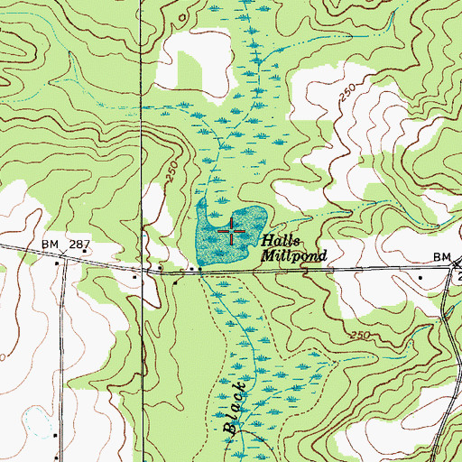 Topographic Map of Halls Millpond, SC