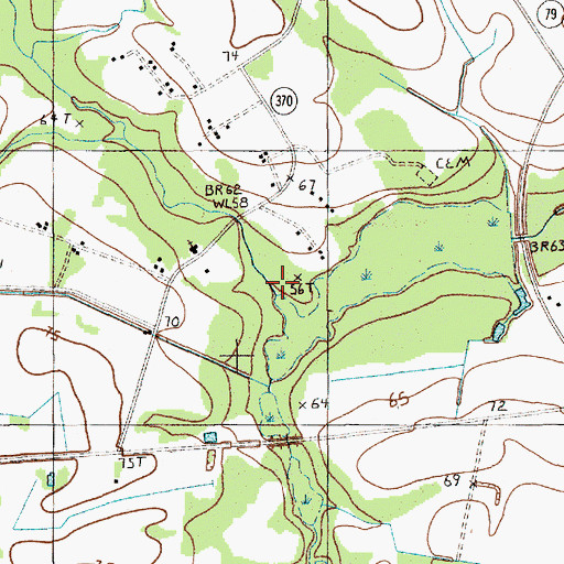 Topographic Map of Holliman Swamp, SC