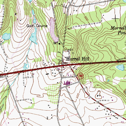 Topographic Map of Horrel Hill, SC