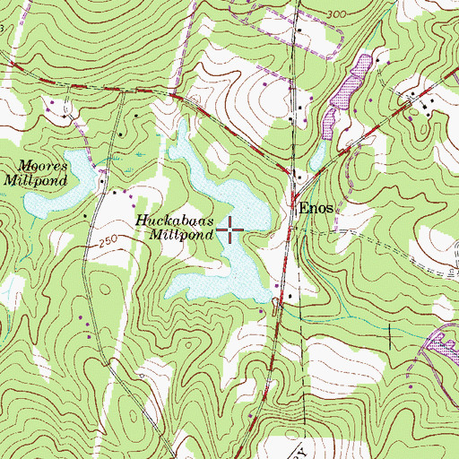 Topographic Map of Huckabaas Millpond, SC