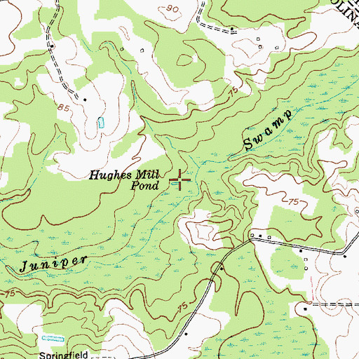 Topographic Map of Hughes Mill Pond, SC