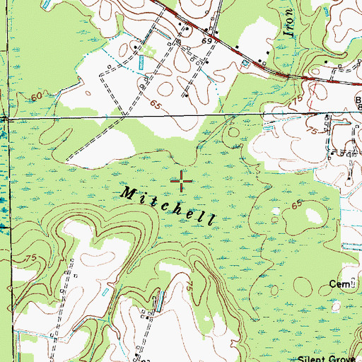 Topographic Map of Iron Springs Swamp, SC