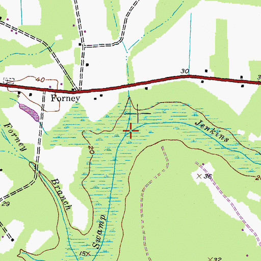 Topographic Map of Jenkins Swamp, SC
