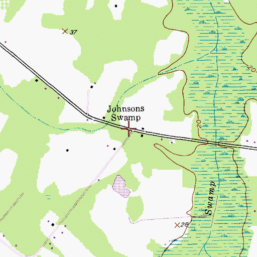 Topographic Map of Johnsons Swamp, SC