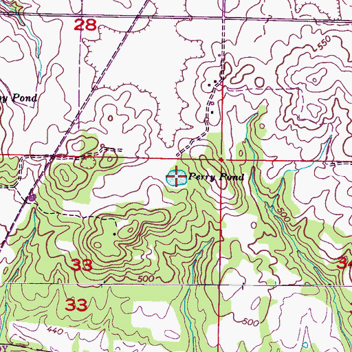 Topographic Map of Perry Pond, AL