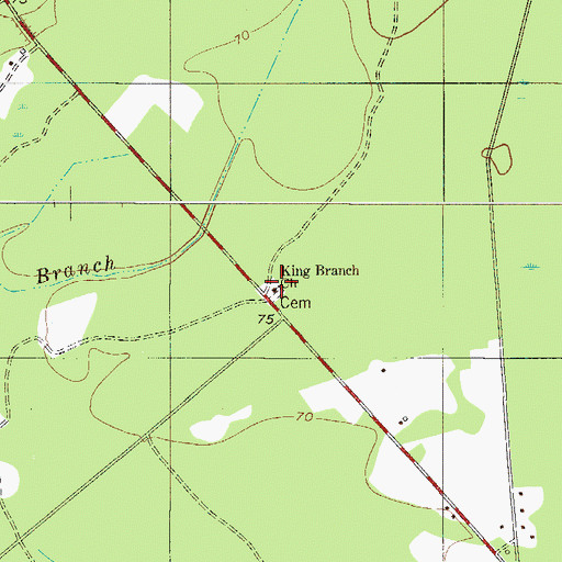 Topographic Map of King Branch Church, SC
