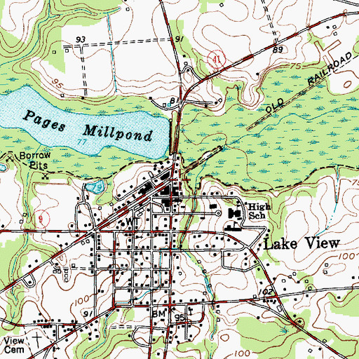 Topographic Map of Lake View, SC