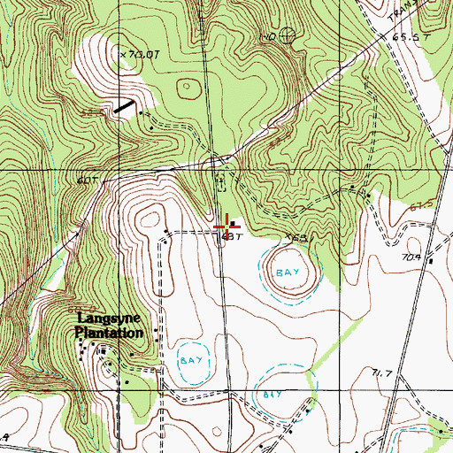 Topographic Map of Langsyne School (historical), SC