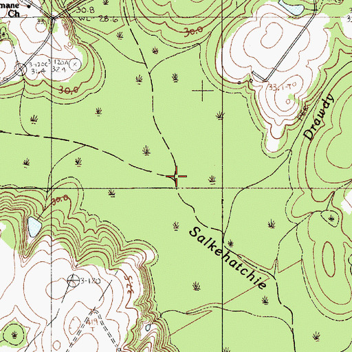 Topographic Map of Lemon Creek, SC