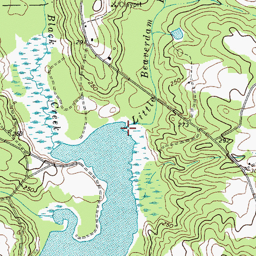 Topographic Map of Little Beaverdam Branch, SC