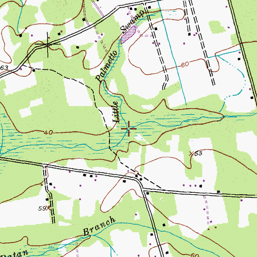 Topographic Map of Little Palmetto Swamp, SC