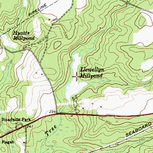 Topographic Map of Llewellyn Millpond, SC