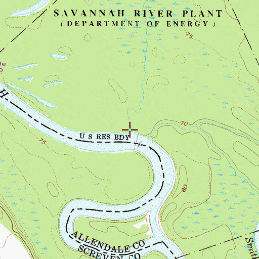 Topographic Map of Lower Three Runs, SC
