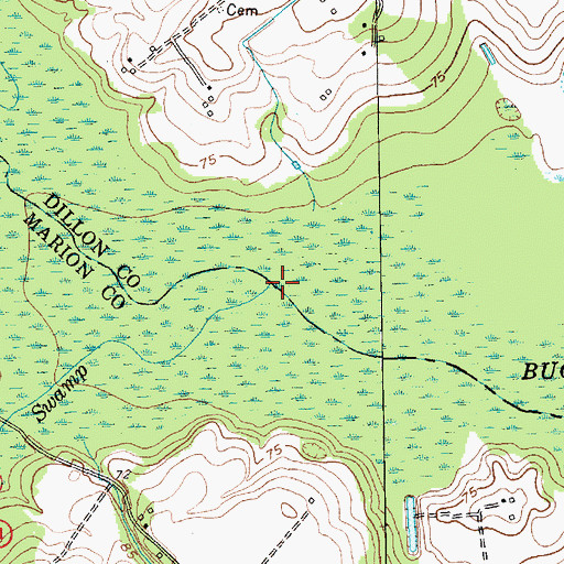 Topographic Map of Maidendown Swamp, SC