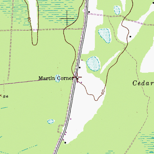 Topographic Map of Martin Corner, SC