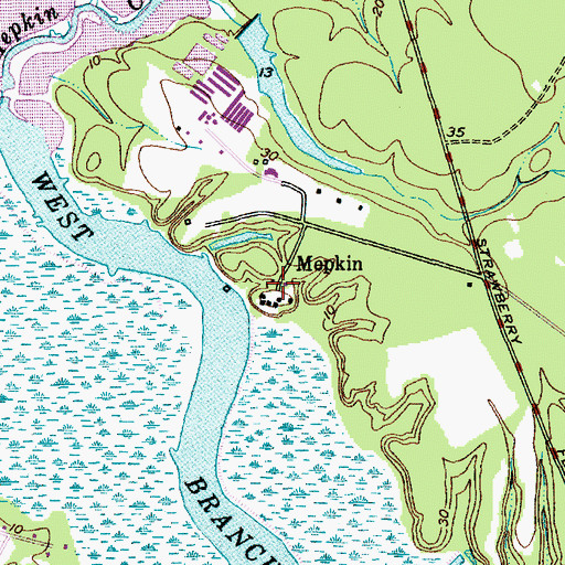 Topographic Map of Mepkin, SC