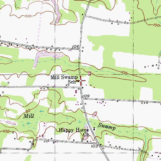 Topographic Map of Mill Swamp School, SC