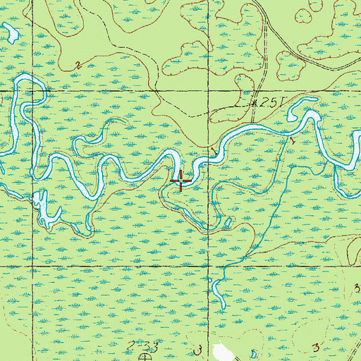 Topographic Map of Mill Swamp, SC