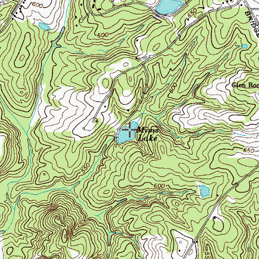 Topographic Map of Mims Lake, SC