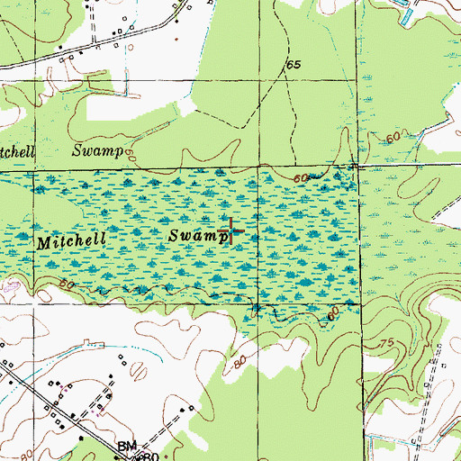 Topographic Map of Mitchell Swamp, SC