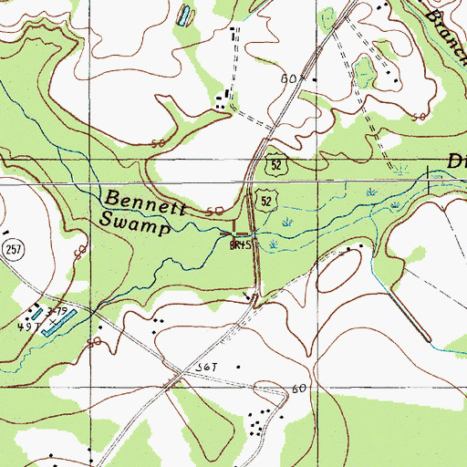 Topographic Map of Bennett Swamp, SC