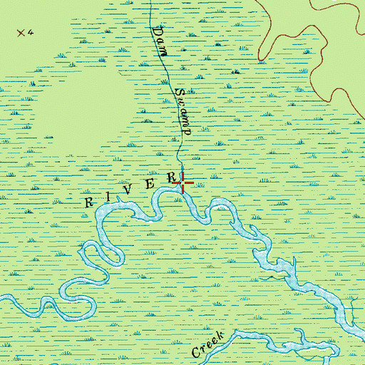 Topographic Map of Big Dam Swamp, SC
