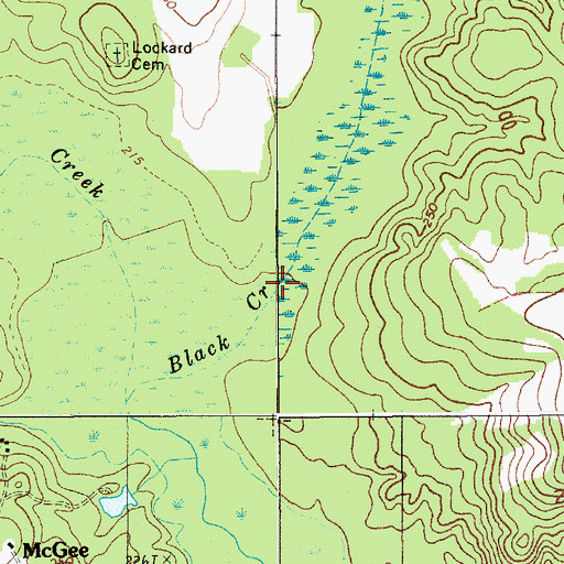 Topographic Map of Black Creek, SC