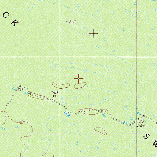 Topographic Map of Black Swamp, SC
