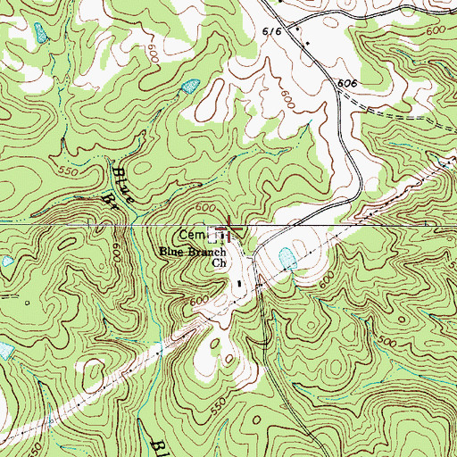 Topographic Map of Blue Branch Church (historical), SC