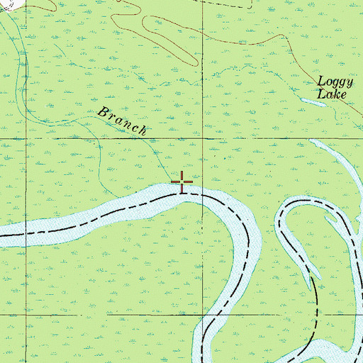 Topographic Map of Boggy Branch, SC