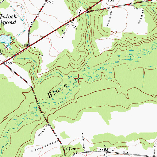 Topographic Map of Boggy Swamp, SC