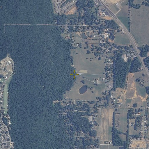 Aerial/Satellite Image of Pickens Spring, AL