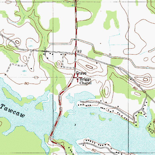 Topographic Map of Briggs Chapel, SC