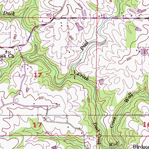 Topographic Map of Pied Creek, AL