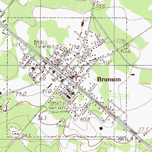 Topographic Map of Brunson, SC