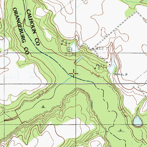 Topographic Map of Bull Swamp, SC