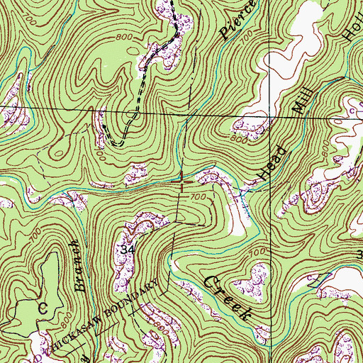 Topographic Map of Pierce Branch, AL