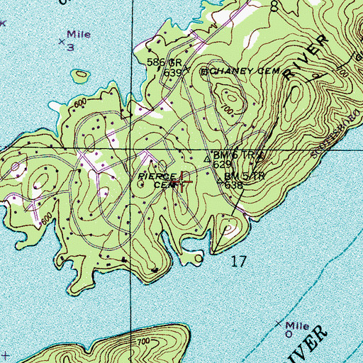 Topographic Map of Pierce Cemetery, AL