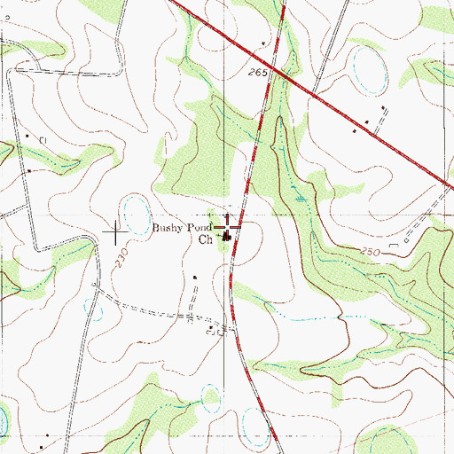 Topographic Map of Bushy Pond Church, SC