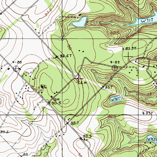 Topographic Map of Butler Chapel, SC
