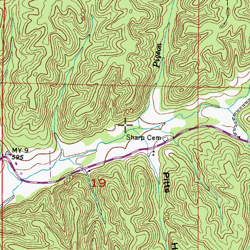Topographic Map of Pigeon Branch, AL