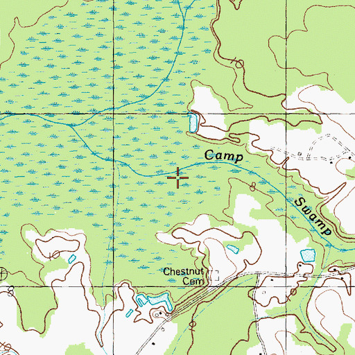 Topographic Map of Camp Swamp, SC